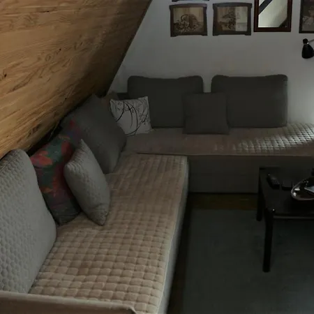 Dana קופאוניק