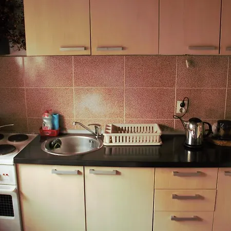 Dana קופאוניק