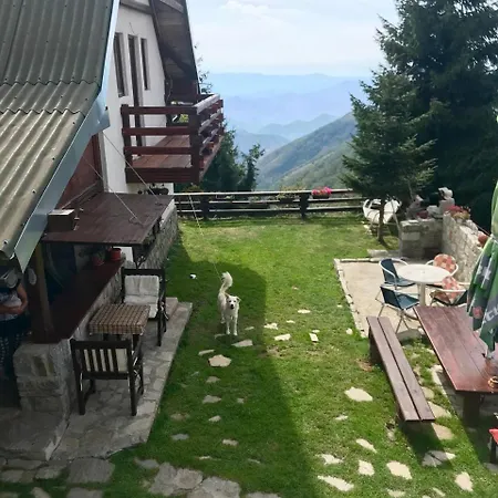 Dana קופאוניק