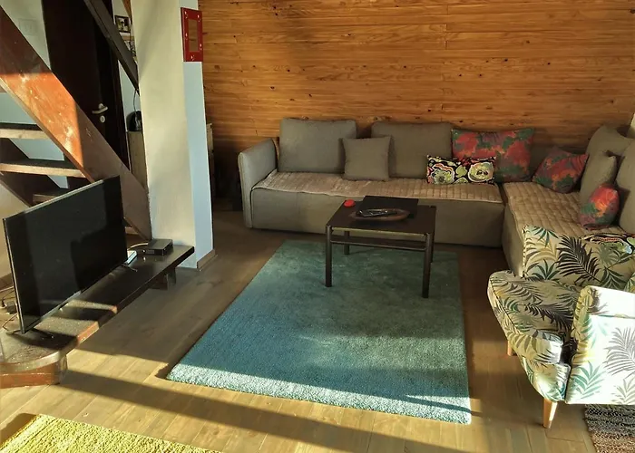 Dana * Κοπαόνικ