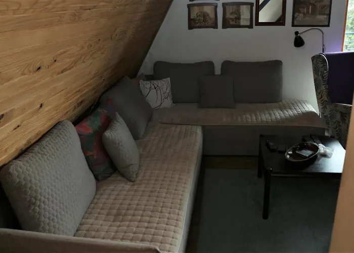 Dana Κοπαόνικ