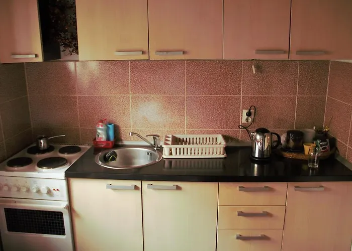 Dana Κοπαόνικ