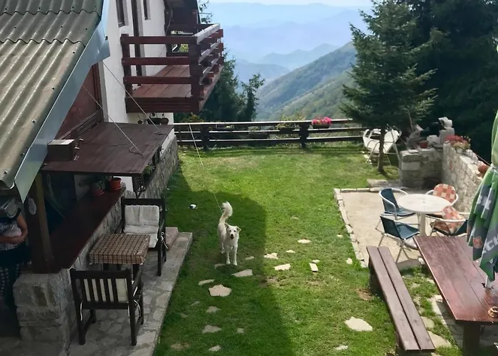 Dana Κοπαόνικ